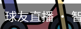 球友直播